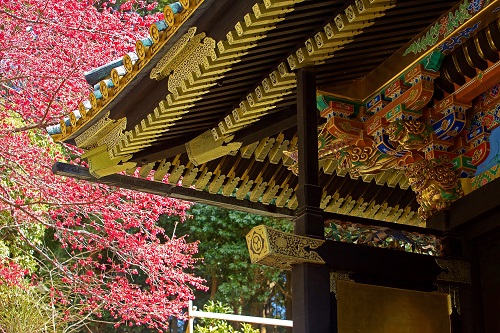 Kunozan Toshogu Shrine