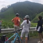 bike tour to a green tea farm