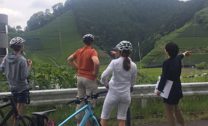 bike tour to a green tea farm