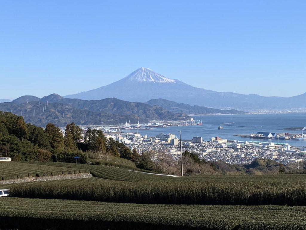 Nihondaira green tea fields