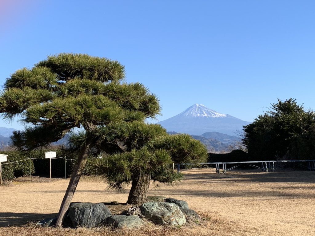 The garden of Nihondaira Ocha Kaikan