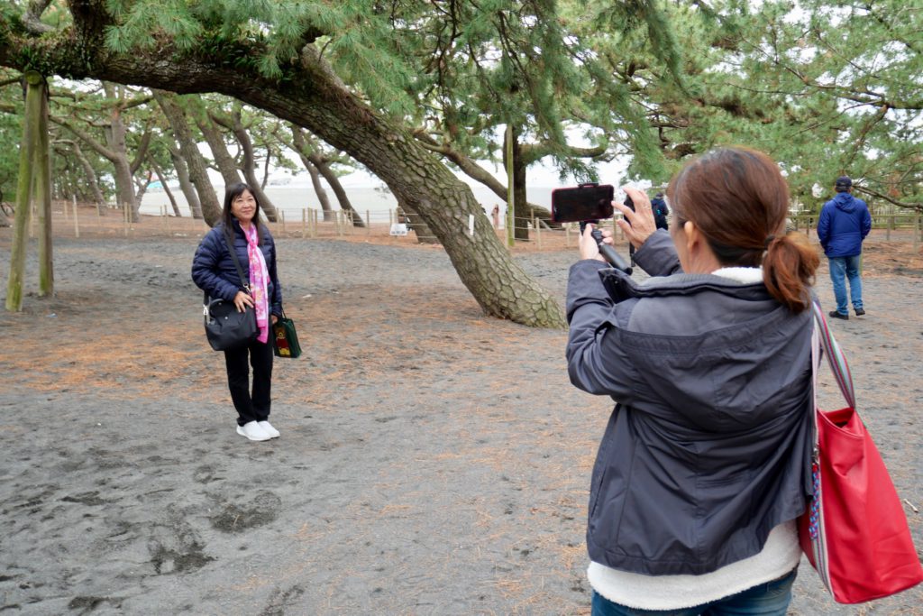 Miho no Matsubara (Miho Pine Tree Grove) Mt. Fuji World Heritage 