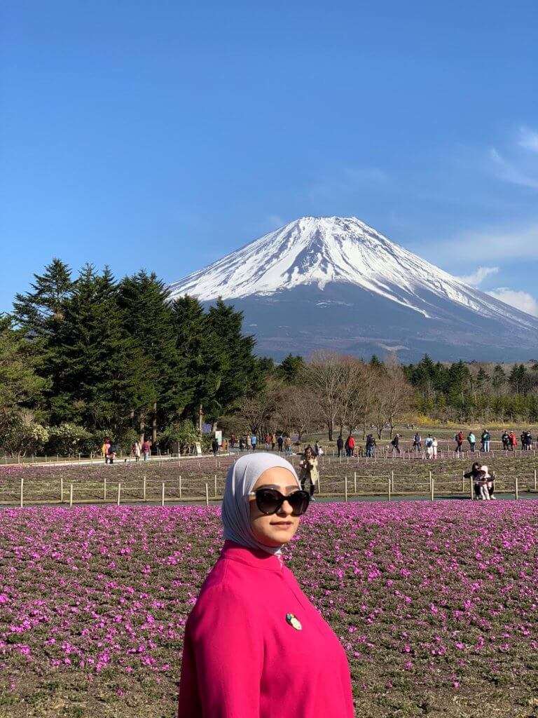 fuji shibazakura festival