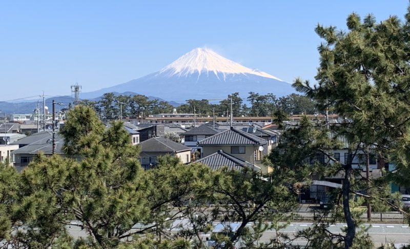 Miho no Matsubara Culture & Creativity Center Miho Shirube - Miho no  Matsubara