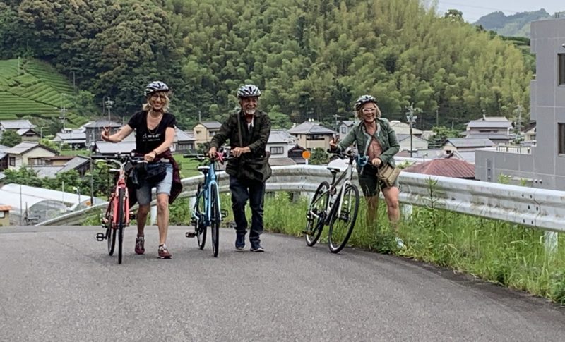 bike tour to a green tea farm