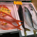 shimizu fish market