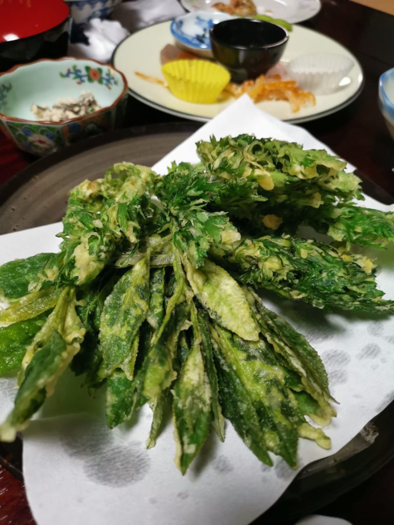 tempra of freshly picked tea leaves