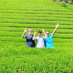 bike tour to a green tea farm