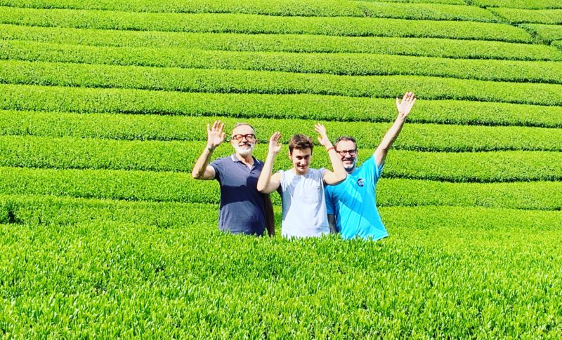 bike tour to a green tea farm