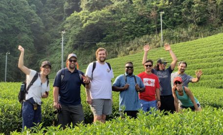 green tea farm in shizuoka