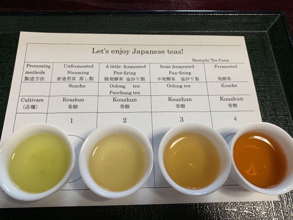 tea tasting