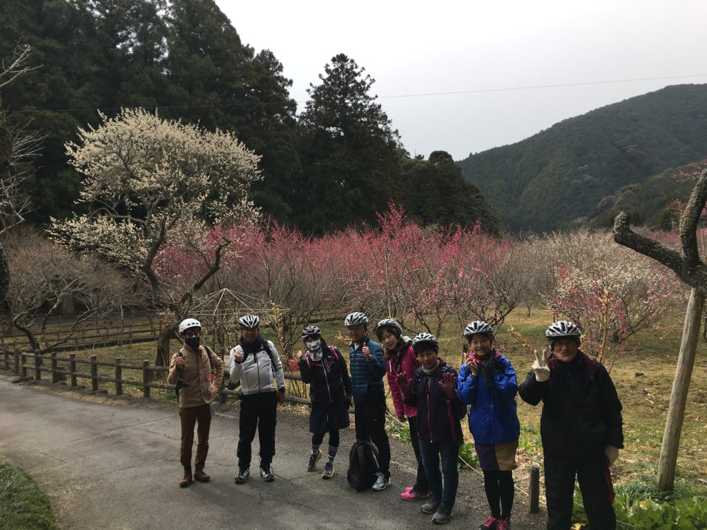 shizuoka bike tour