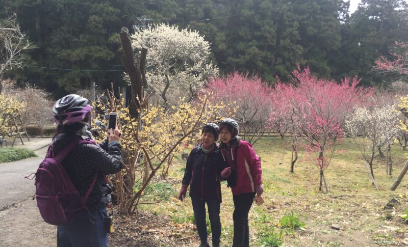 bike tour in shizuoka