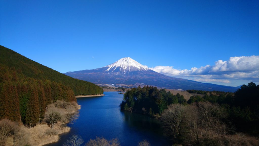 Lake Tanuki