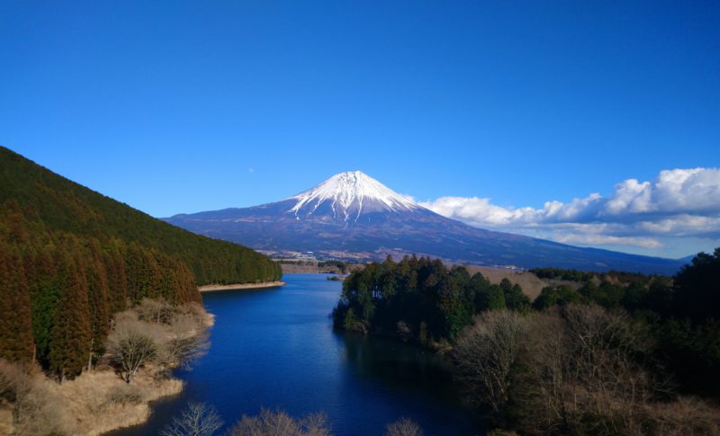 Lake Tanuki