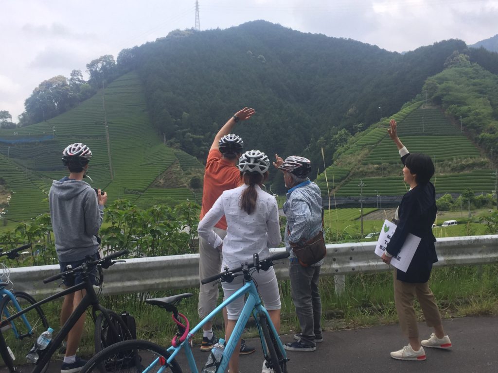 bike tour to a green tea farm