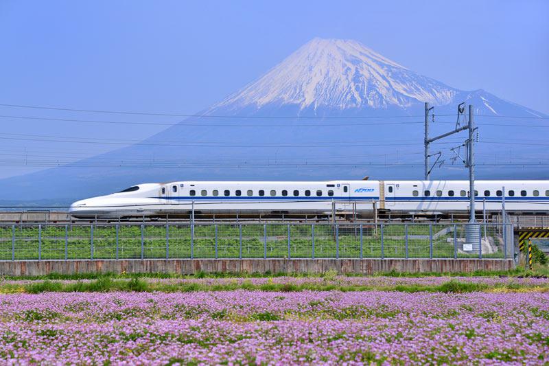 How to get to Mt. Fuji by bullet train (Shinkansen)? Travel Shizuoka|Local Travel Partners How to get to Mt. Fuji by bullet train (Shinkansen)? Travel Shizuoka|Local Travel Partners