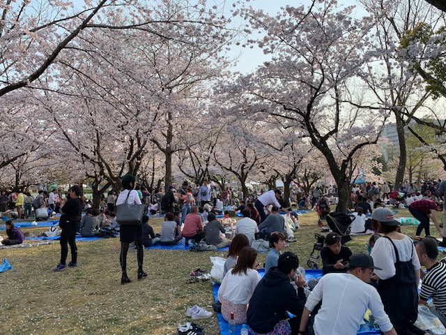 Shizuoka Matsuri Festival