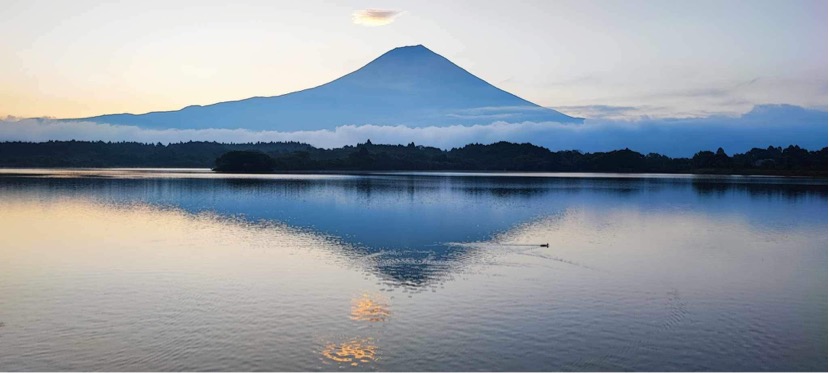 Mt. Fuji