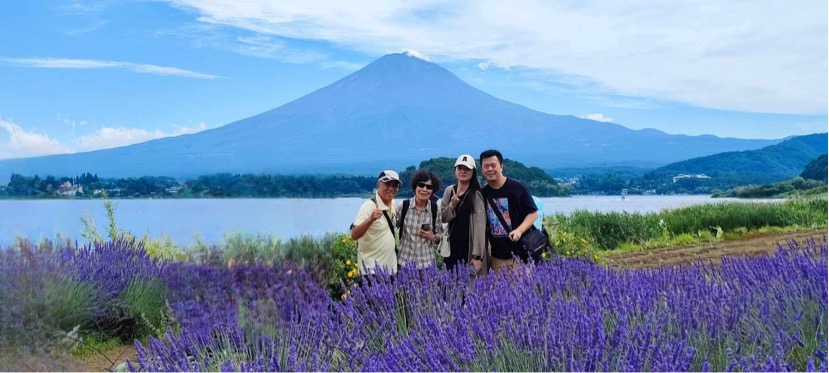 Mt. Fuji & lavender