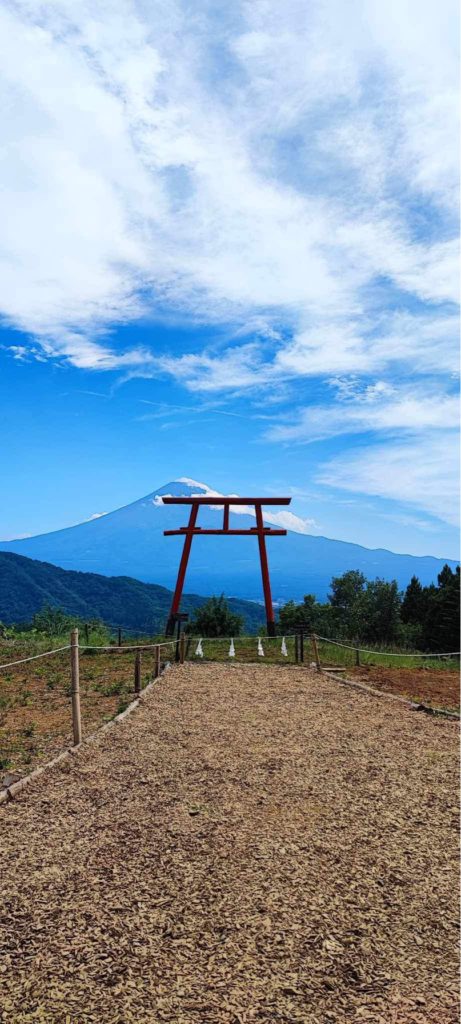 Beautiful Mt. Fuji ＆ Torii Gate