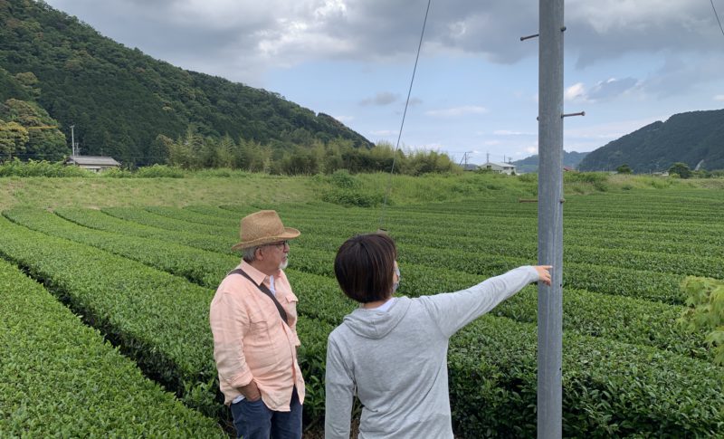 Ashikubo tea works