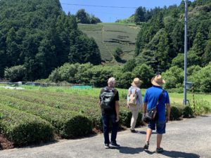 Ashikubo tea works