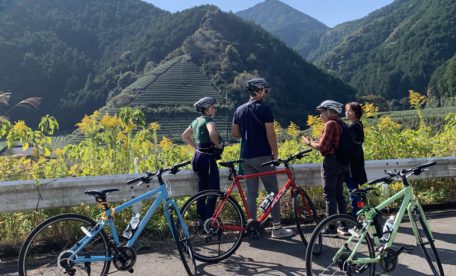 Bike tour to a green tea farm