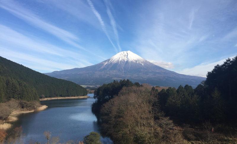 Lake Tanuki