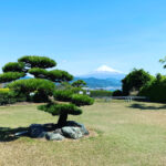 Nihondaira Ocha Kaikan