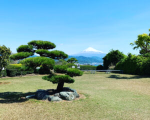 Nihondaira Ocha Kaikan
