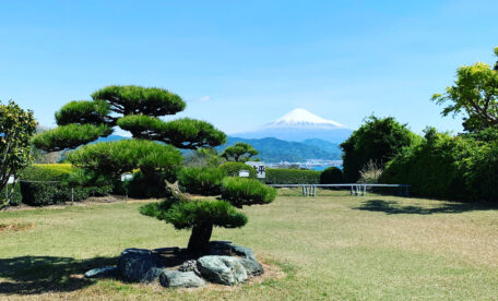 Nihondaira Ocha Kaikan