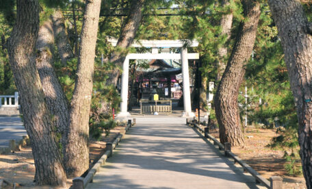 Kami no Michi